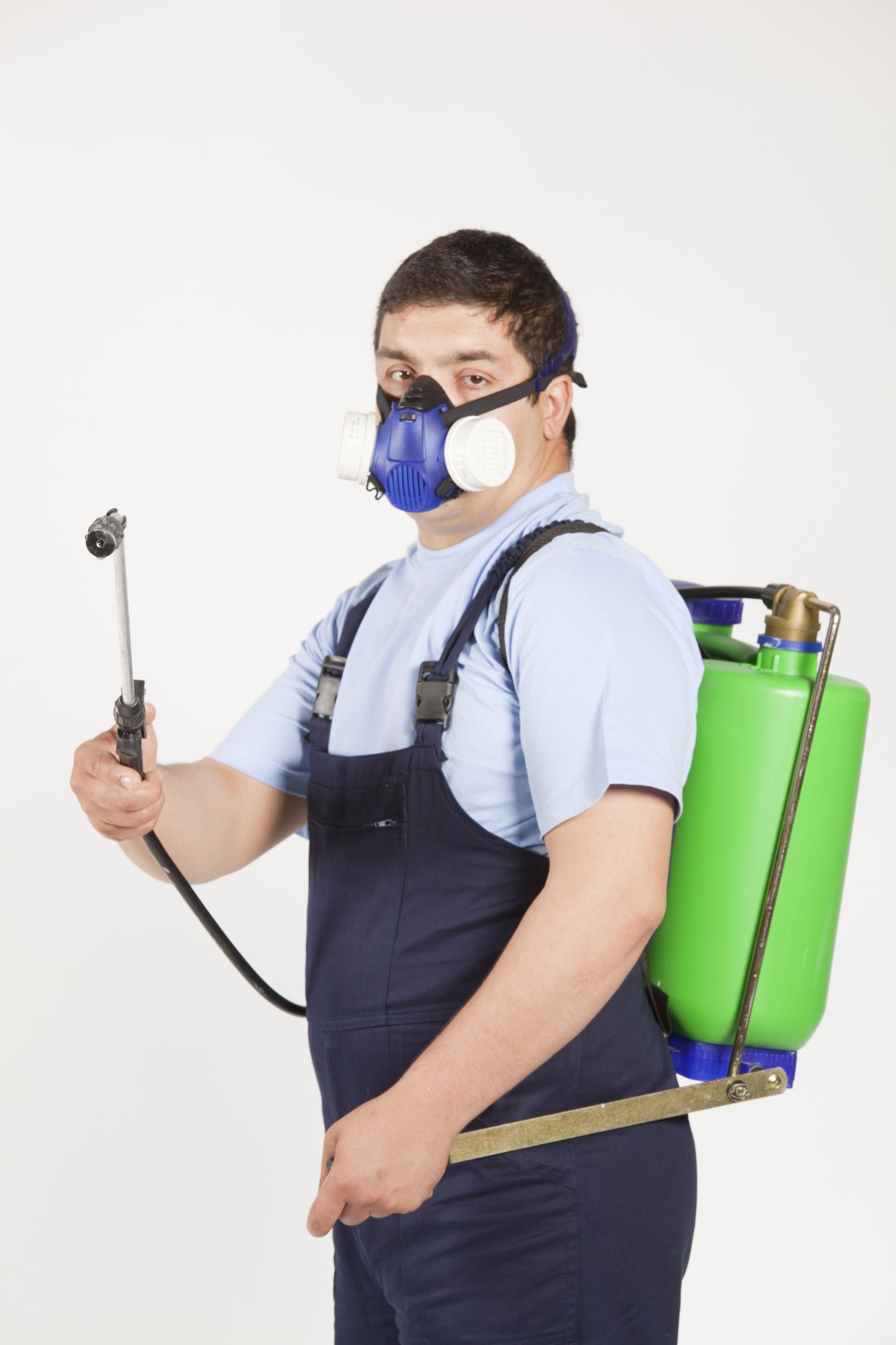 Pest Prevention in Christiansburg, VA, Demystified: Strategies, Seasonal Challenges, And Expert Support