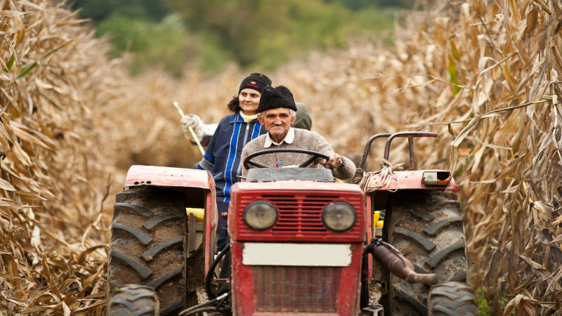 Why It Pays To Look At Different Tractor Dealers Around Arkansas