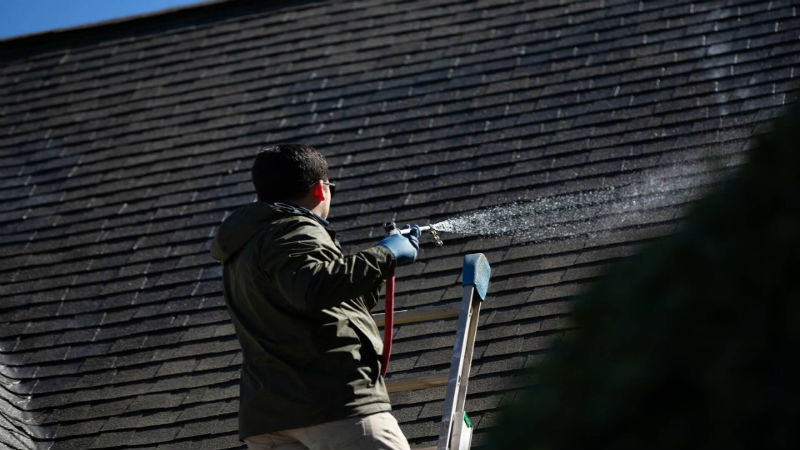 The Reasons for Professional Roof Cleaning in Fayetteville