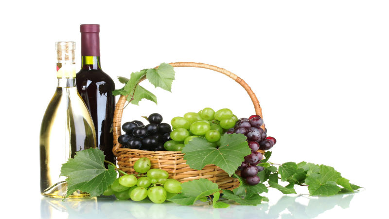 Treat Your Senses to Wine and Scenic Views on Winery Tours in Fredericksburg TX