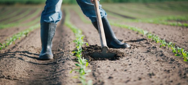 Components of a Smart Farming System