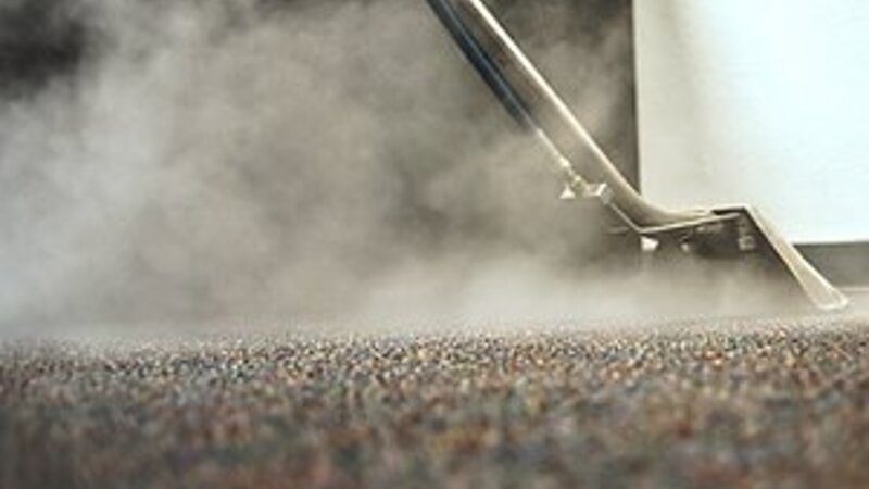 3 Reasons to Invest in Professional Carpet Cleaning Near Surprise, AZ