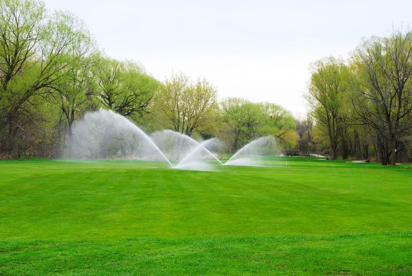 Why Irrigation in Greenville, SC Is Important for Businesses