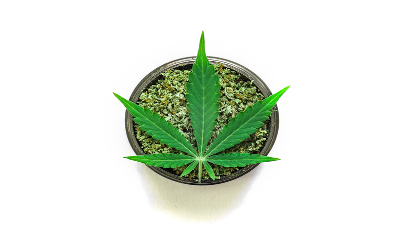 Get Hooked up with a Marijuana Doctor in Clearwater, FL