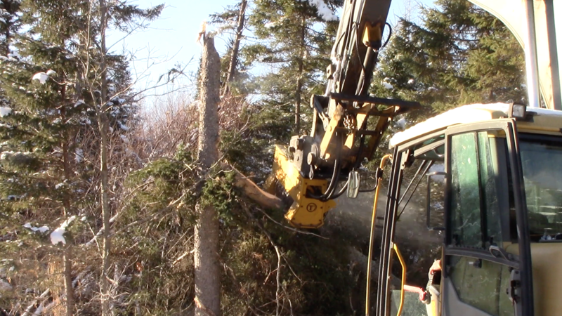 How to Use Brush Cutters for Mini Excavators | Best Articles Site