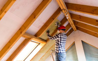 Protect Your Home: Raccoon Attic Removal in Jackson Township, NJ