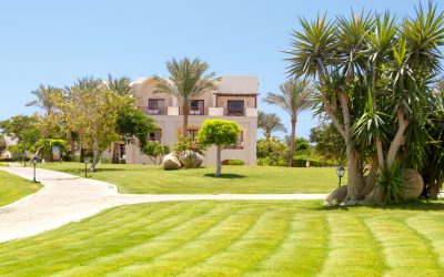 Transform Your Outdoor Space with Residential Landscaping Services in Fresno, CA