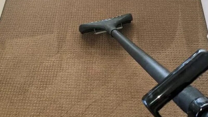 Top Benefits of Choosing Carpet Cleaning Near Arvada, CO