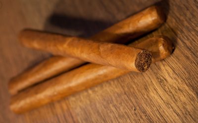 The Allure of Backwoods in the UK