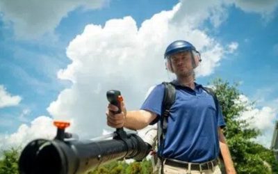 Local Exterminators Newnan, GA: Eliminate Unwanted Guests from Your Home with Professional Pest Management Solutions