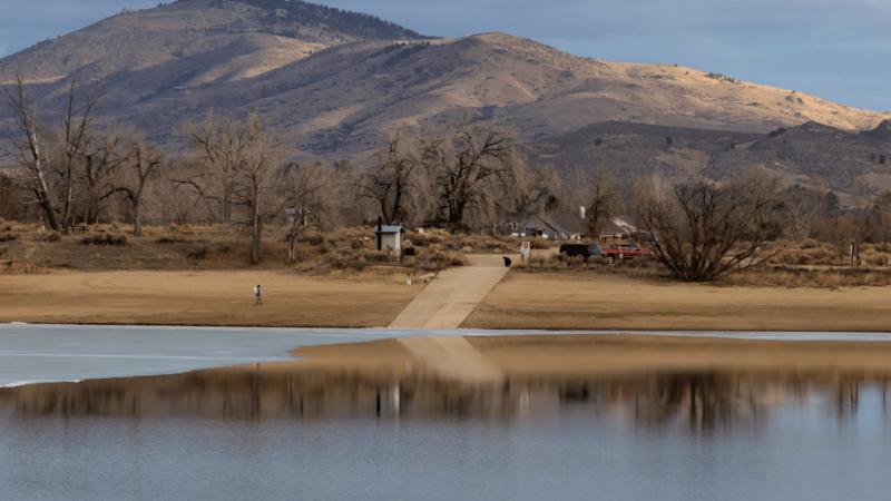 Efficient Solutions for Insulation Needs: Insulation Contractors in Loveland, CO