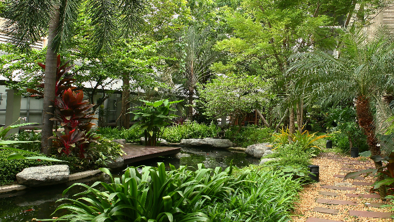 Effective Flea Control For Yard Shelbyville KY: Best Practices