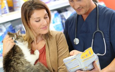 Get Flea Treatment Advice from an Animal Hospital in Pembroke Pines, FL