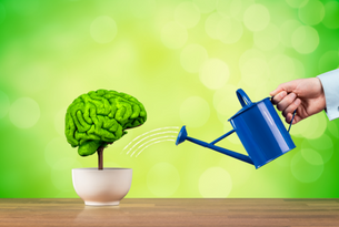 How a Youth Work Certificate Can Boost Your Career Prospects
