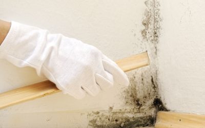 Keep Your Crawlspace Dry and Safe with Crawlspace Services in South Boston, VA