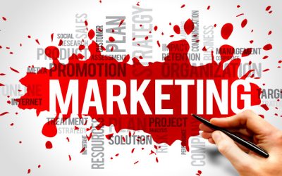 Effective Strategies to Elevate Your Home Inspection Business Marketing in a Competitive Industry