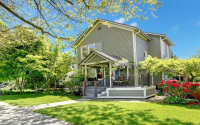 Secure Your Home with Reliable Termite Inspection Services Rhode Island