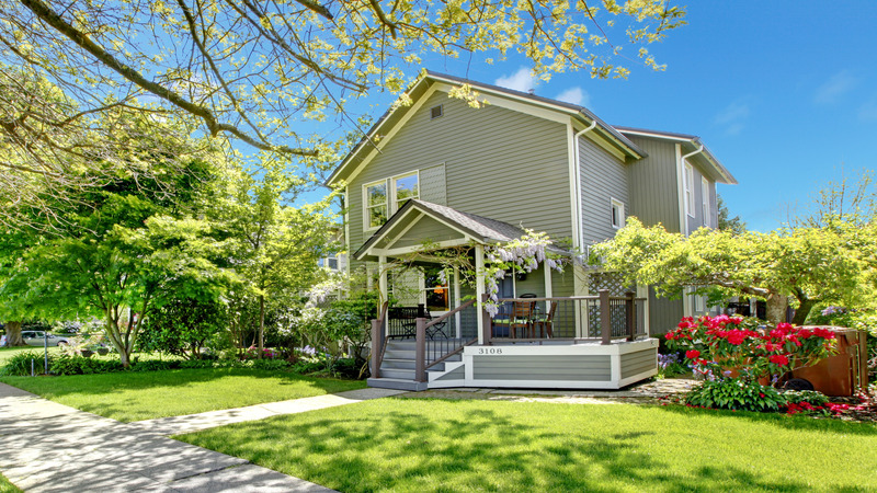 Secure Your Home with Reliable Termite Inspection Services Rhode Island