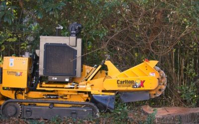 Stump Grinding Services Senoia, GA Fast, Safe Removal for a Clean, Beautiful Yard
