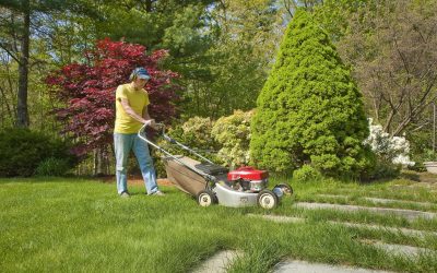 Transforming outdoor spaces with landscape construction services in Fresno, CA