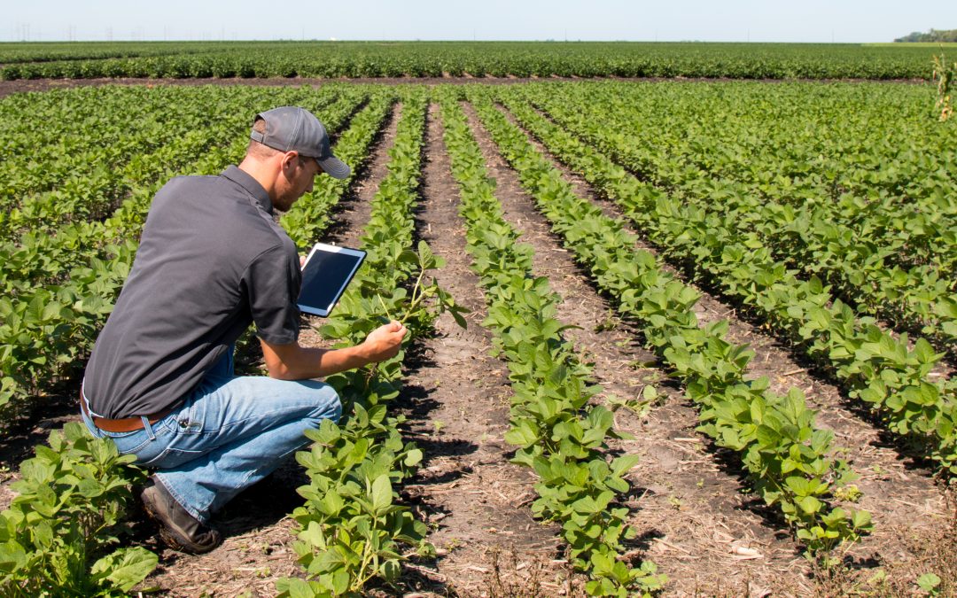 How Agricultural Farm Service Stockton, MO, Supports Sustainable Farming Solutions Locally