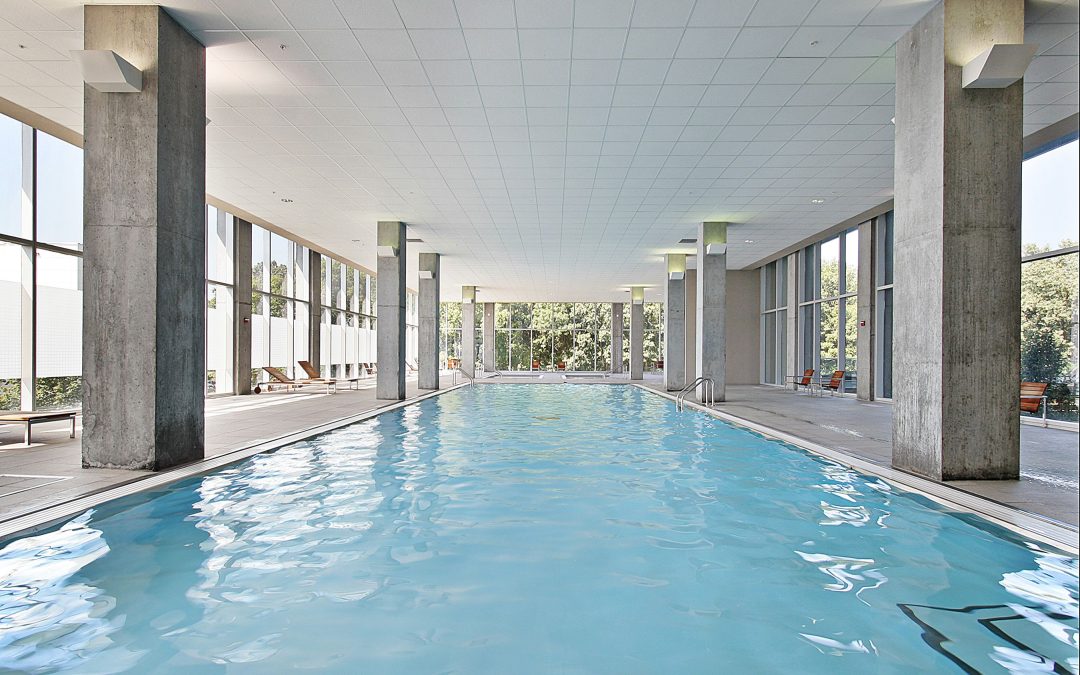 Choosing a Swimming Pool Installation Contractor in St. Petersburg, FL, for Lasting Quality