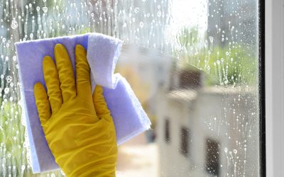 From stubborn stains to fresh fabrics, Sugar Land Cleaners bring convenience to your door