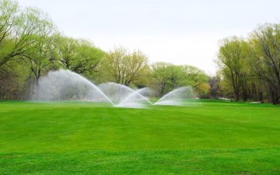 Transform Your Outdoor Space with Expert Landscapers In Hillsborough, NJ, and Unique Design Ideas