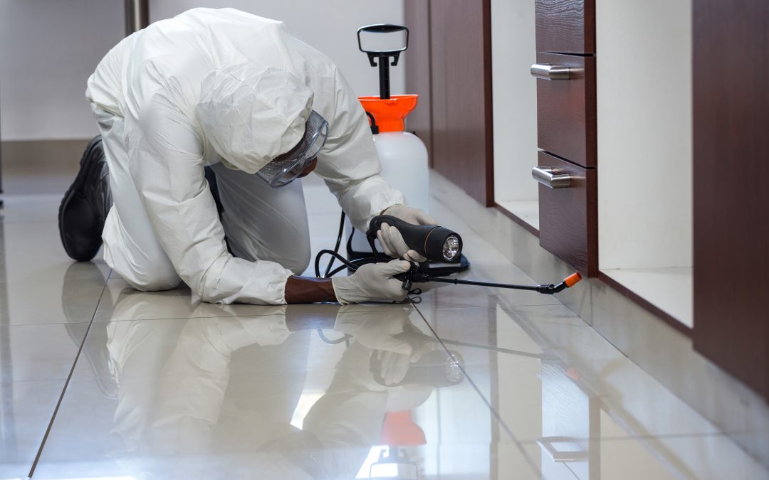 Protect Your Home Fast With Emergency Pest Control Services Naperville, IL Residents Trust
