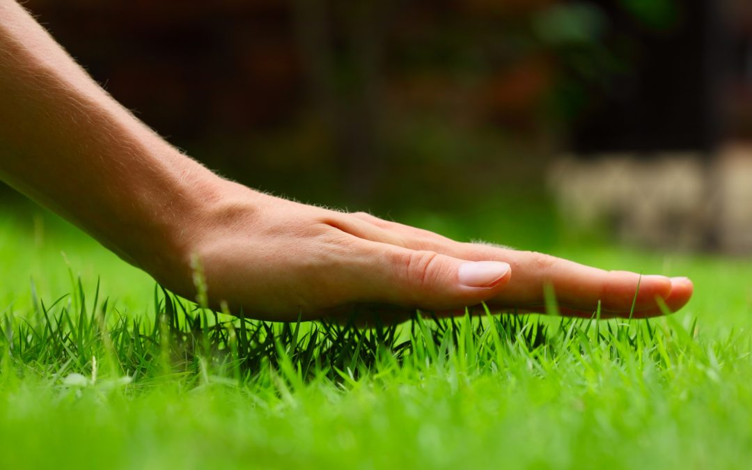 Boost curb appeal with landscape lighting installation, Centennial, CO homeowners trust for lasting beauty