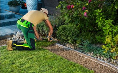 Enhance Curb Appeal and Property Value With Landscape Designers Cape Cod MA