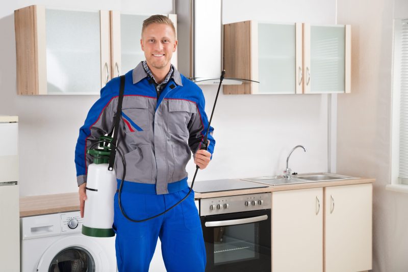 Say Goodbye to Unwanted Pests With Help From an Exterminator NJ Homeowners Trust