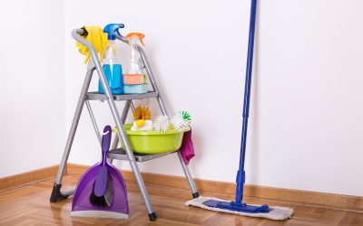 Enjoy a Healthier Home Environment with House Cleaning Lone Tree CO Solutions