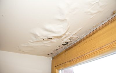 Protect Your Home With Expert Water Damage Cleanup in Hinsdale, IL Solutions