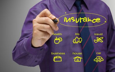How Commercial Insurance Lakewood, CO Supports Small Business Growth and Stability