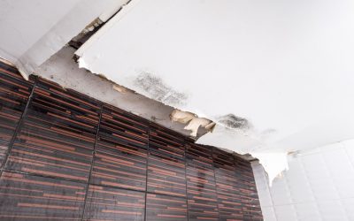 Quick solutions for emergency water damage restoration in Aurora, IL, keep your home protected