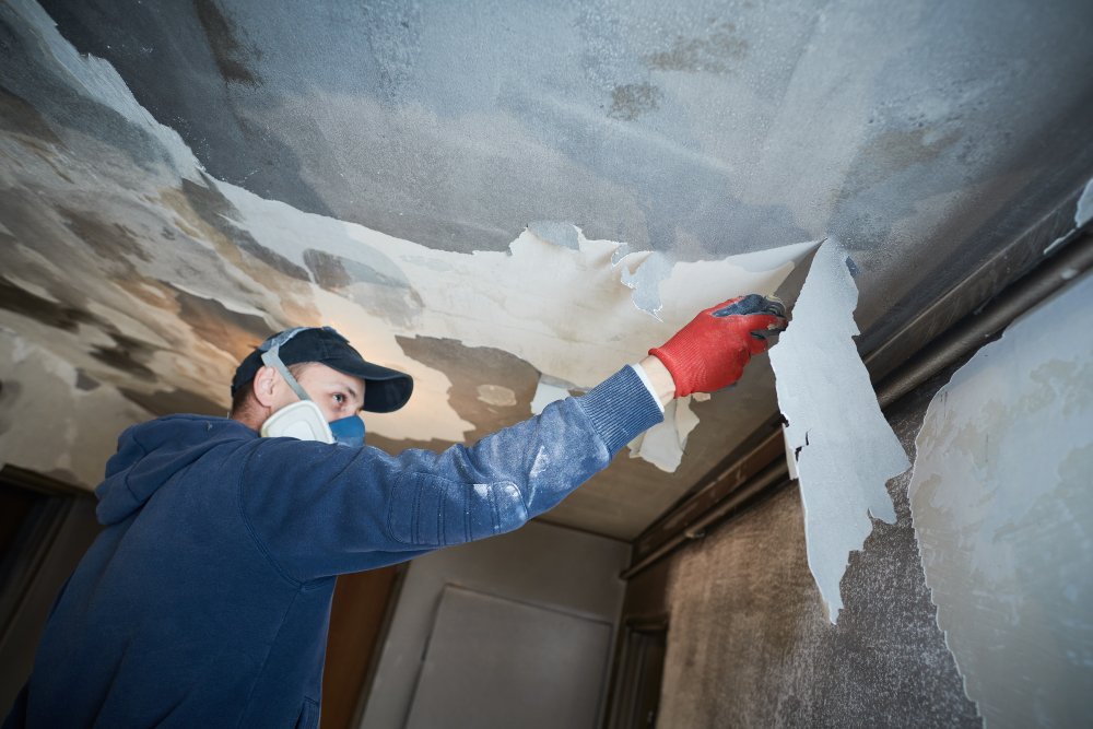 Why Homeowners Trust Emergency Fire Damage Restoration Daphne, AL After Disaster