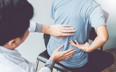 How Chiropractic Care in Springfield, IL Supports Lasting Wellness and Active Lifestyles
