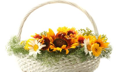 Surprise Loved Ones with Fresh Flower Delivery in Sherman Oaks, CA for Every Special Occasion