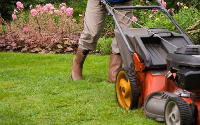 Transform Your Outdoor Spaces with a Local Landscaping Company, Lakewood, CO Homeowners Trust