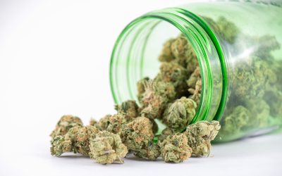 Experience Quality and Safety When You Buy THCA Online USA for Wellness Benefits