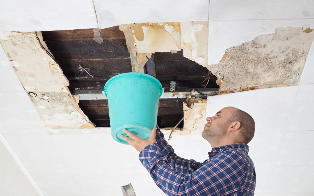Trusted Benefits of Professional Emergency Water Damage Restoration in Joliet, IL