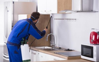 Protect Your Home from Bites with Expert Mosquito Control in Charlottesville, VA Services