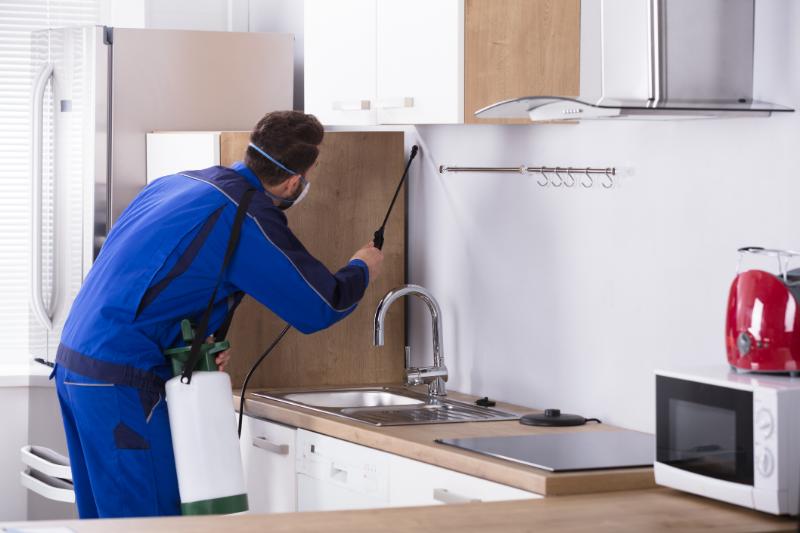 Protect Your Home from Bites with Expert Mosquito Control in Charlottesville, VA Services